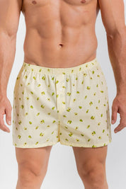 Boxer Amplio BRONZINI