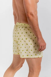 Boxer Amplio BRONZINI