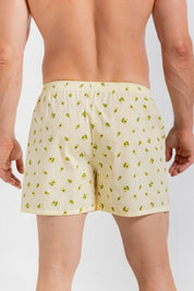 Boxer Amplio BRONZINI