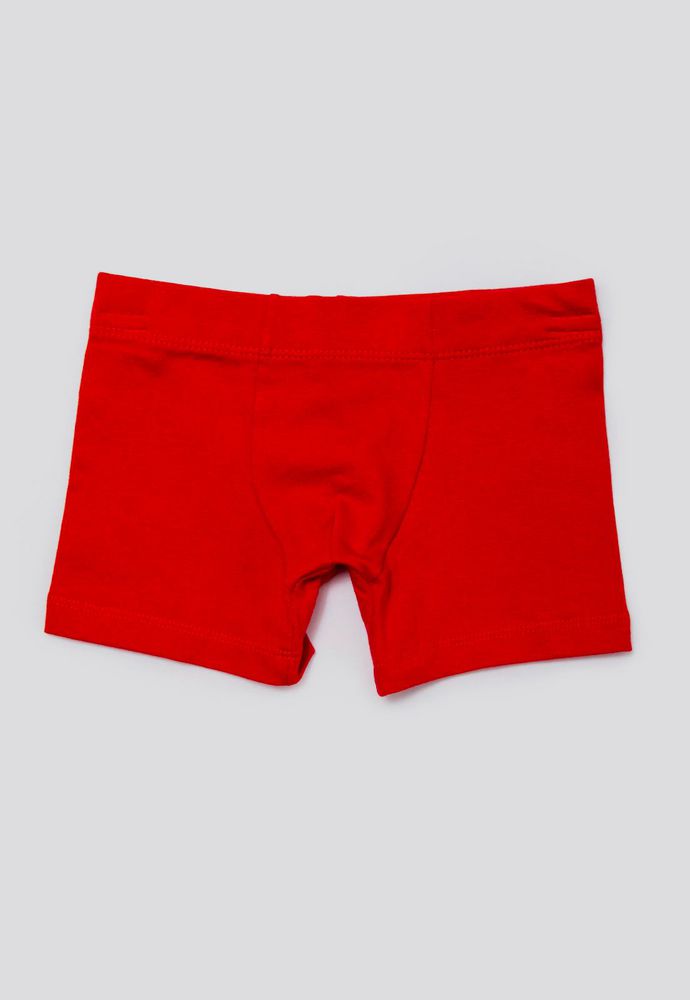 Boxer  BRONZINI