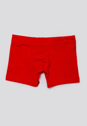 Boxer  BRONZINI