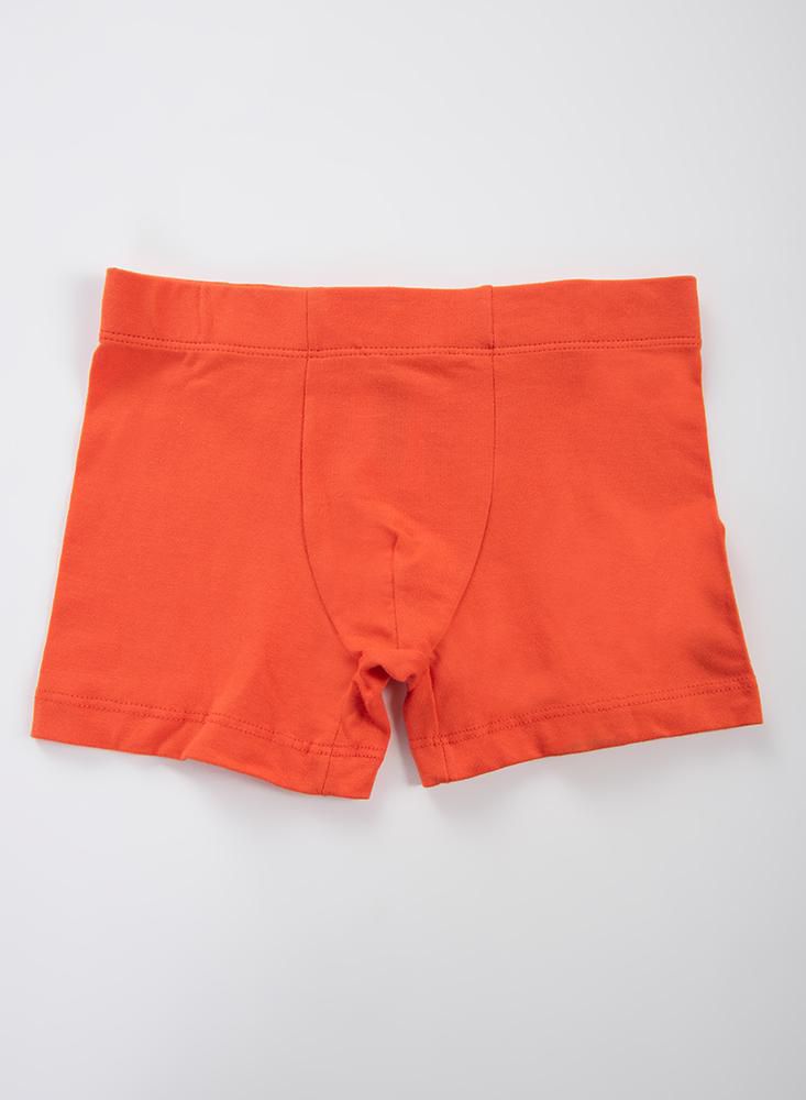 Boxer  BRONZINI