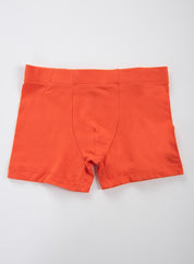 Boxer  BRONZINI
