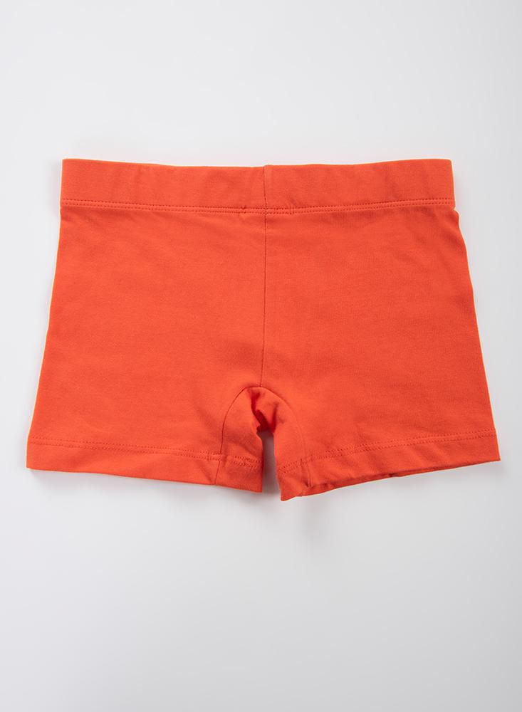 Boxer  BRONZINI