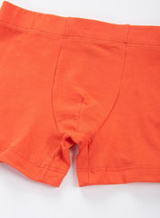 Boxer  BRONZINI