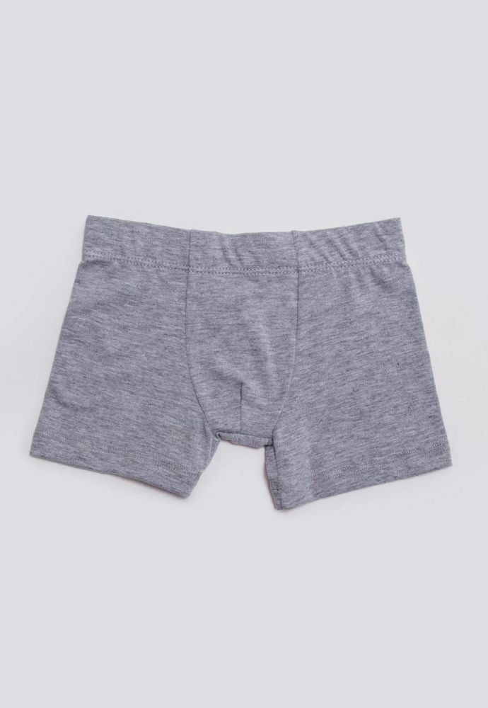 Boxer  BRONZINI