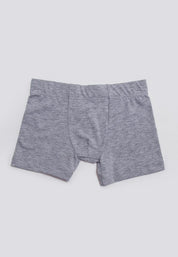 Boxer  BRONZINI