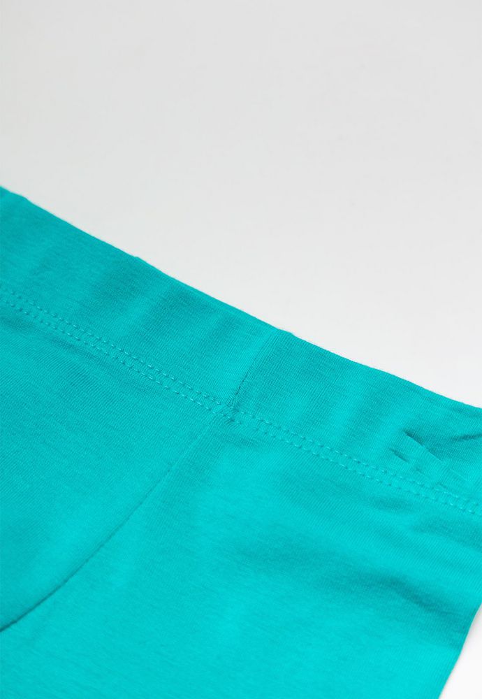 Boxer  BRONZINI