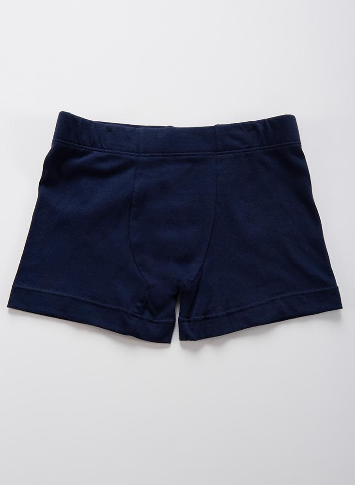 Boxer  BRONZINI