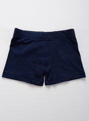 Boxer  BRONZINI