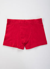 Boxer  BRONZINI