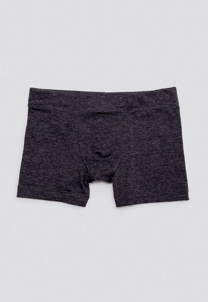 Boxer  BRONZINI