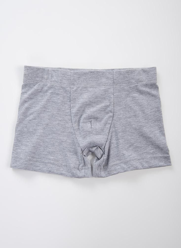 Boxer  BRONZINI