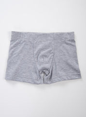 Boxer  BRONZINI