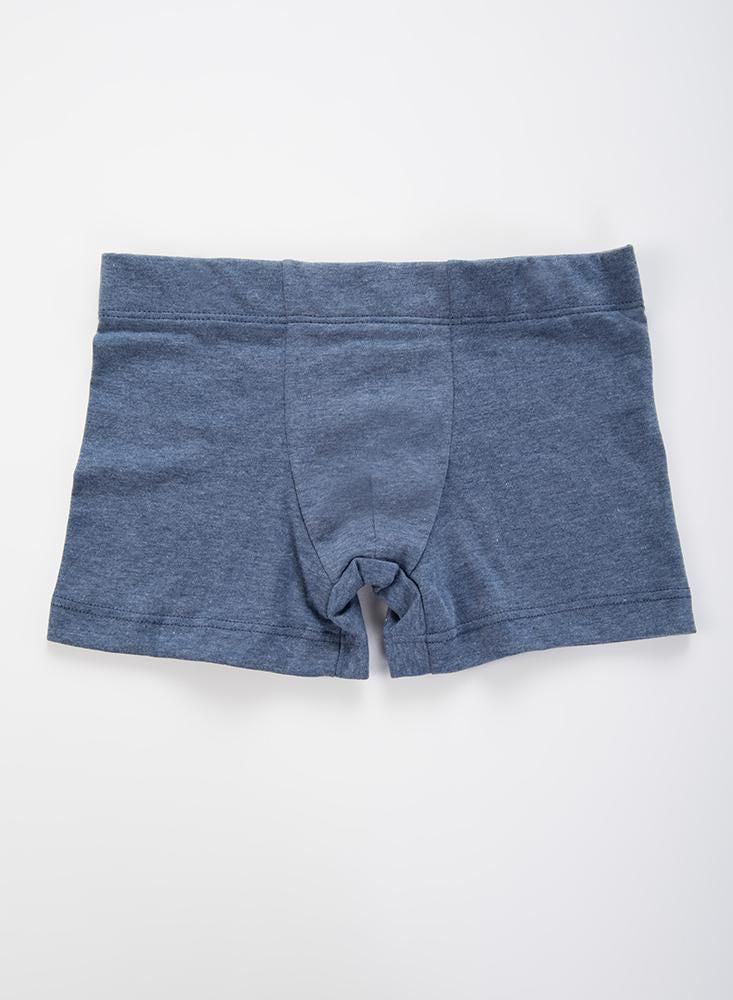 Boxer  BRONZINI