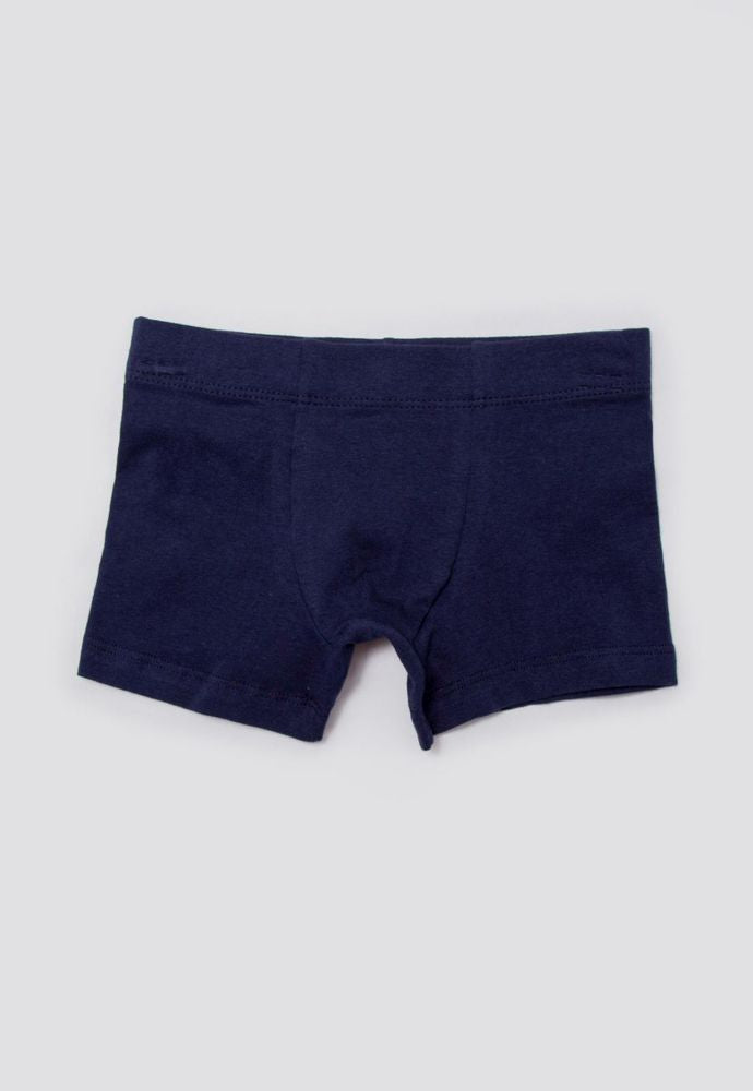 Boxer  BRONZINI