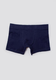 Boxer  BRONZINI