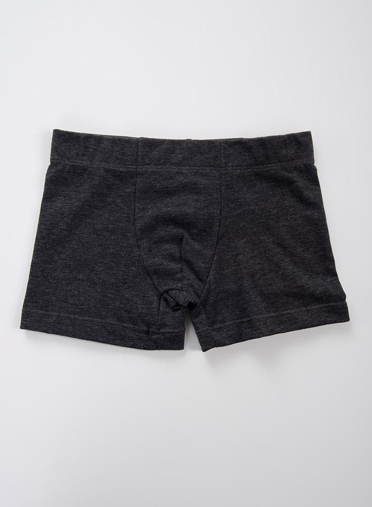 Boxer  BRONZINI
