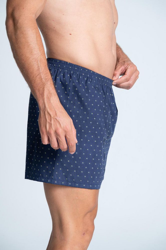 Boxer  BRONZINI