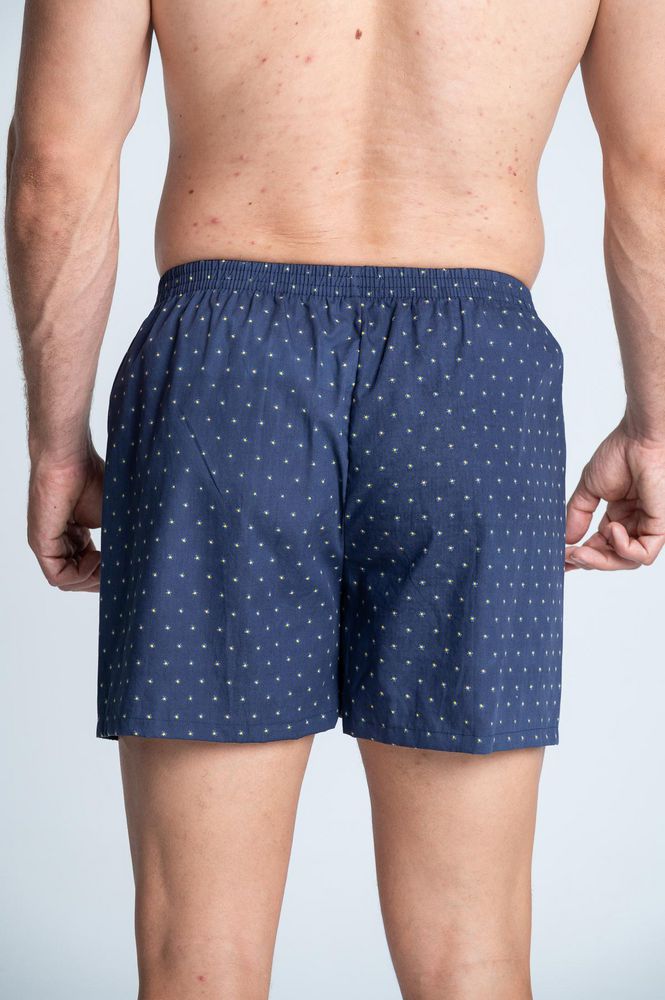 Boxer  BRONZINI