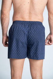 Boxer  BRONZINI