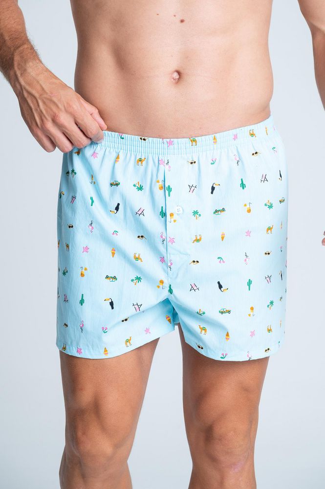 Boxer  BRONZINI