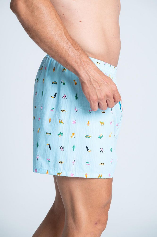 Boxer  BRONZINI