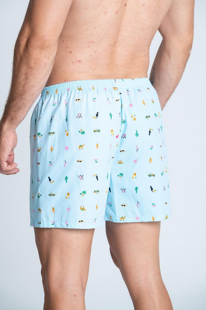 Boxer  BRONZINI