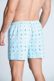Boxer  BRONZINI