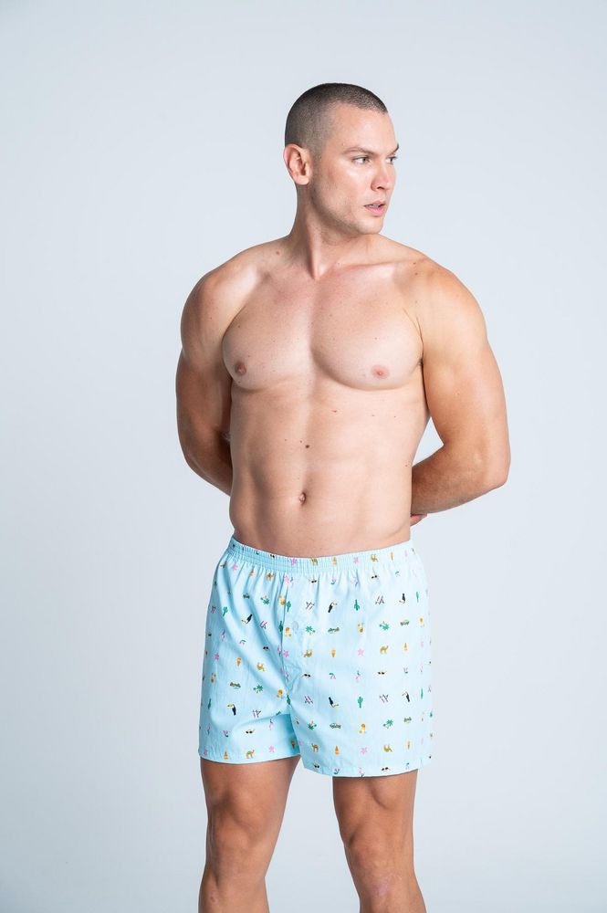 Boxer  BRONZINI