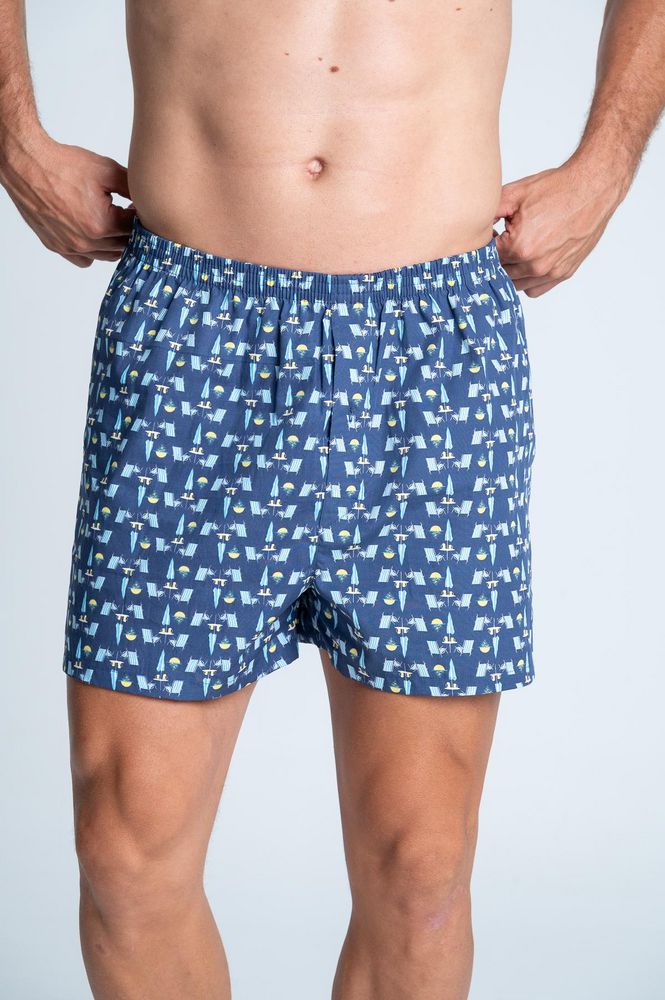 Boxer  BRONZINI
