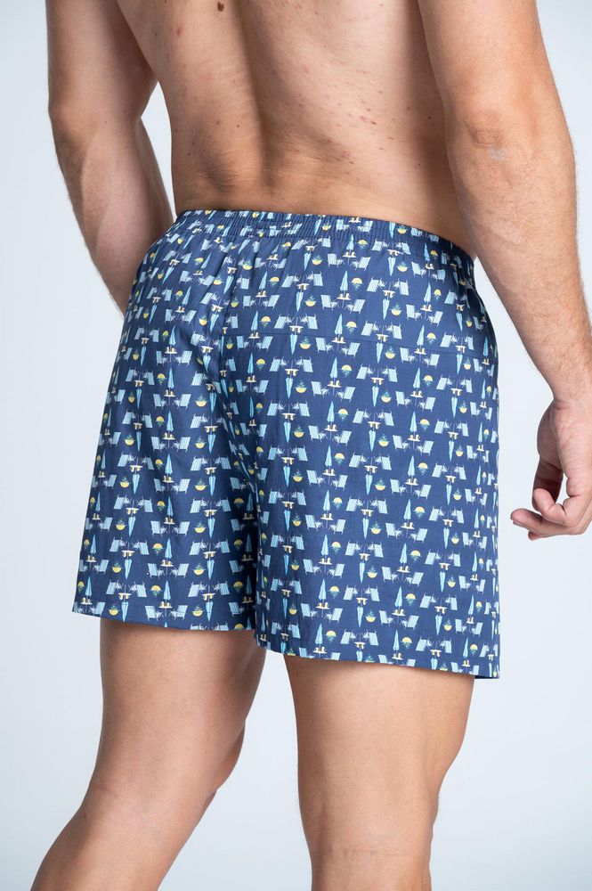 Boxer  BRONZINI