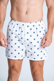 Boxer  BRONZINI