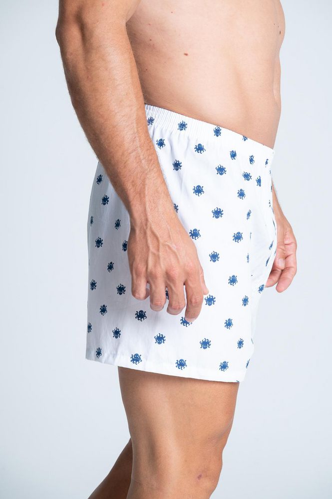 Boxer  BRONZINI