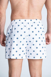 Boxer  BRONZINI