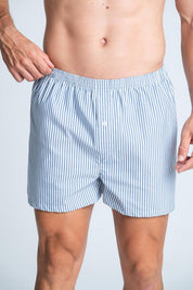 Boxer  BRONZINI