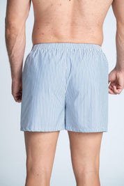 Boxer  BRONZINI