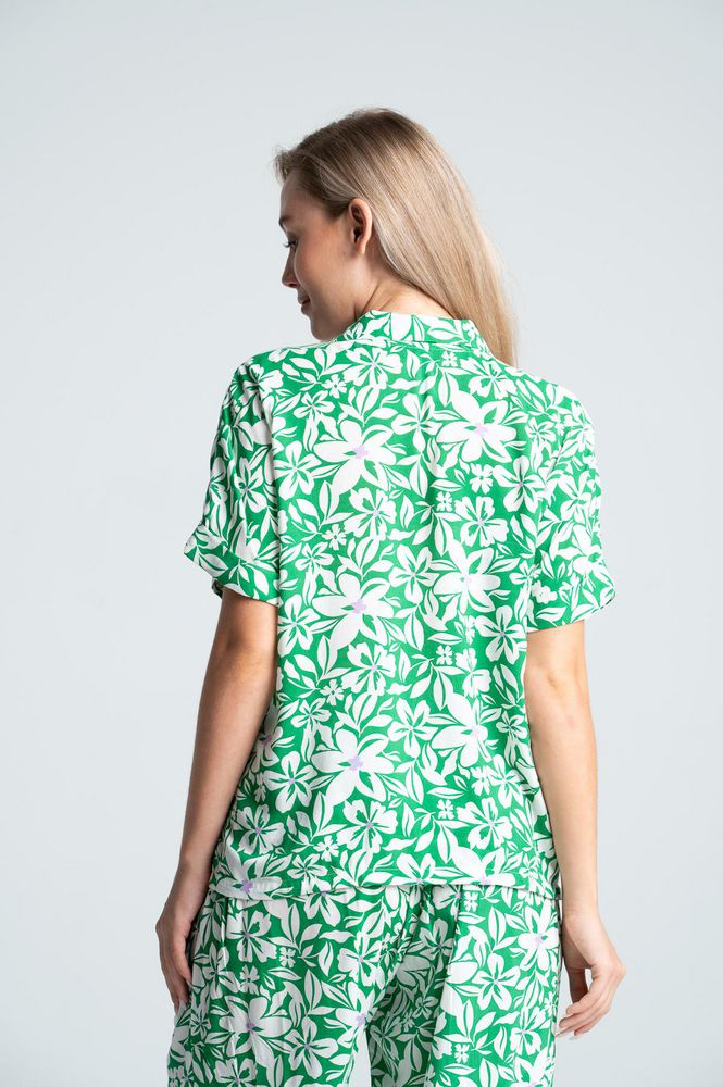 Camisa   BRONZINI