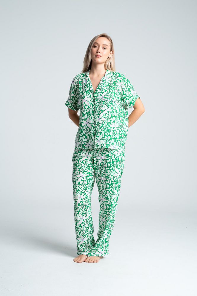 Camisa   BRONZINI