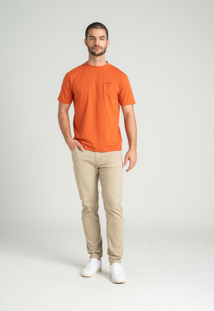 Camiseta  Amplia ARKITECT