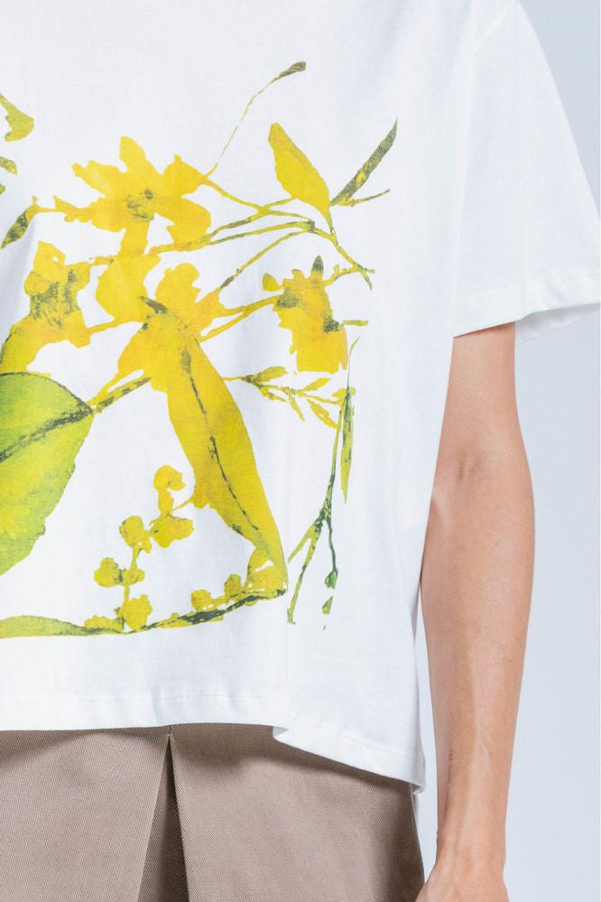 Camiseta Localizado Amplia ARKITECT